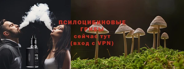 стафф Алексин