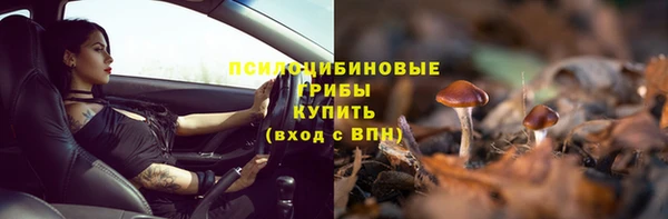 стафф Алексин