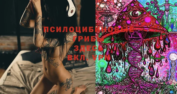 стафф Алексин