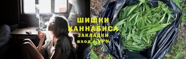 соль ск Алзамай